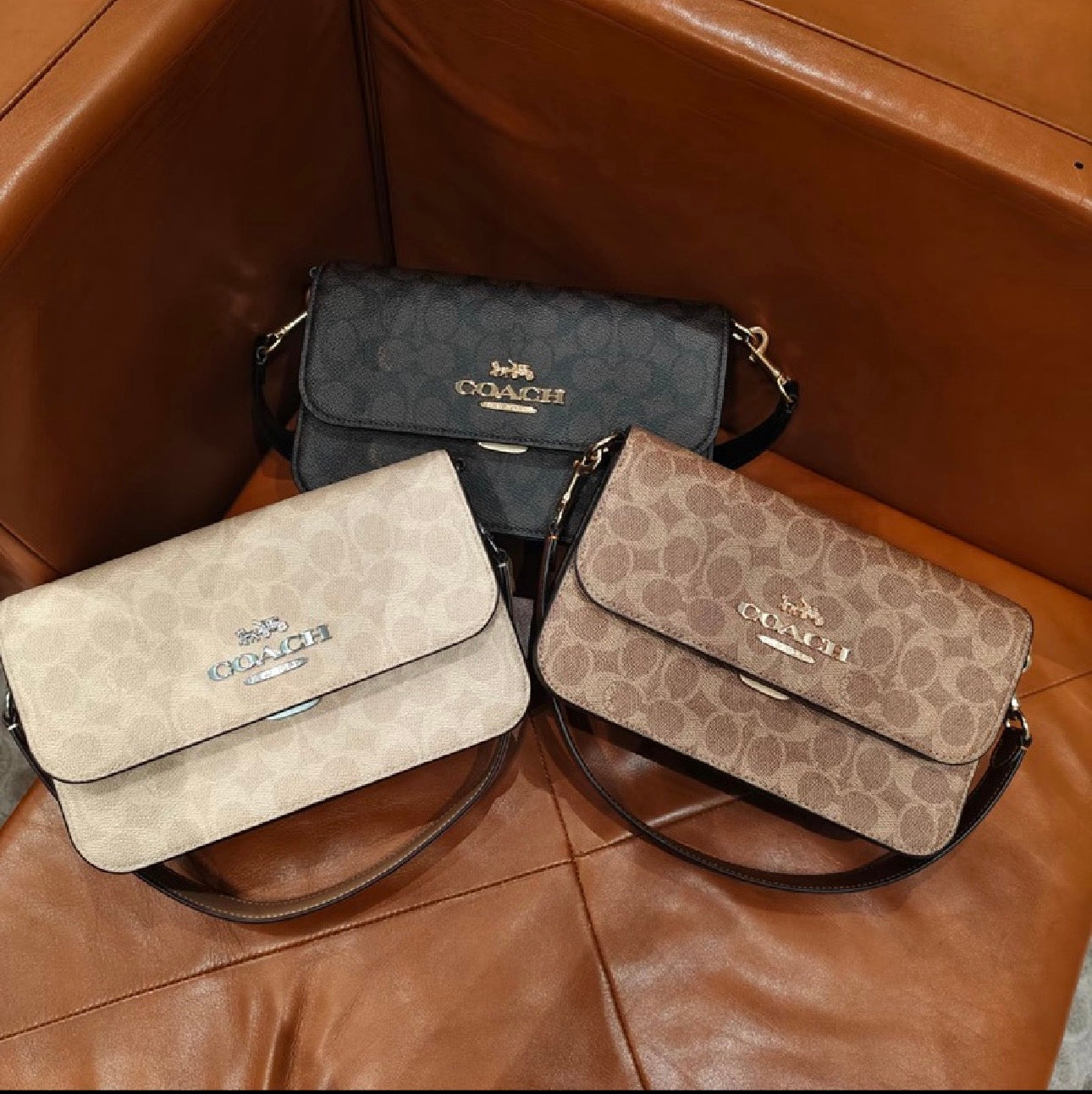 Petit Sac COACH Élégance
