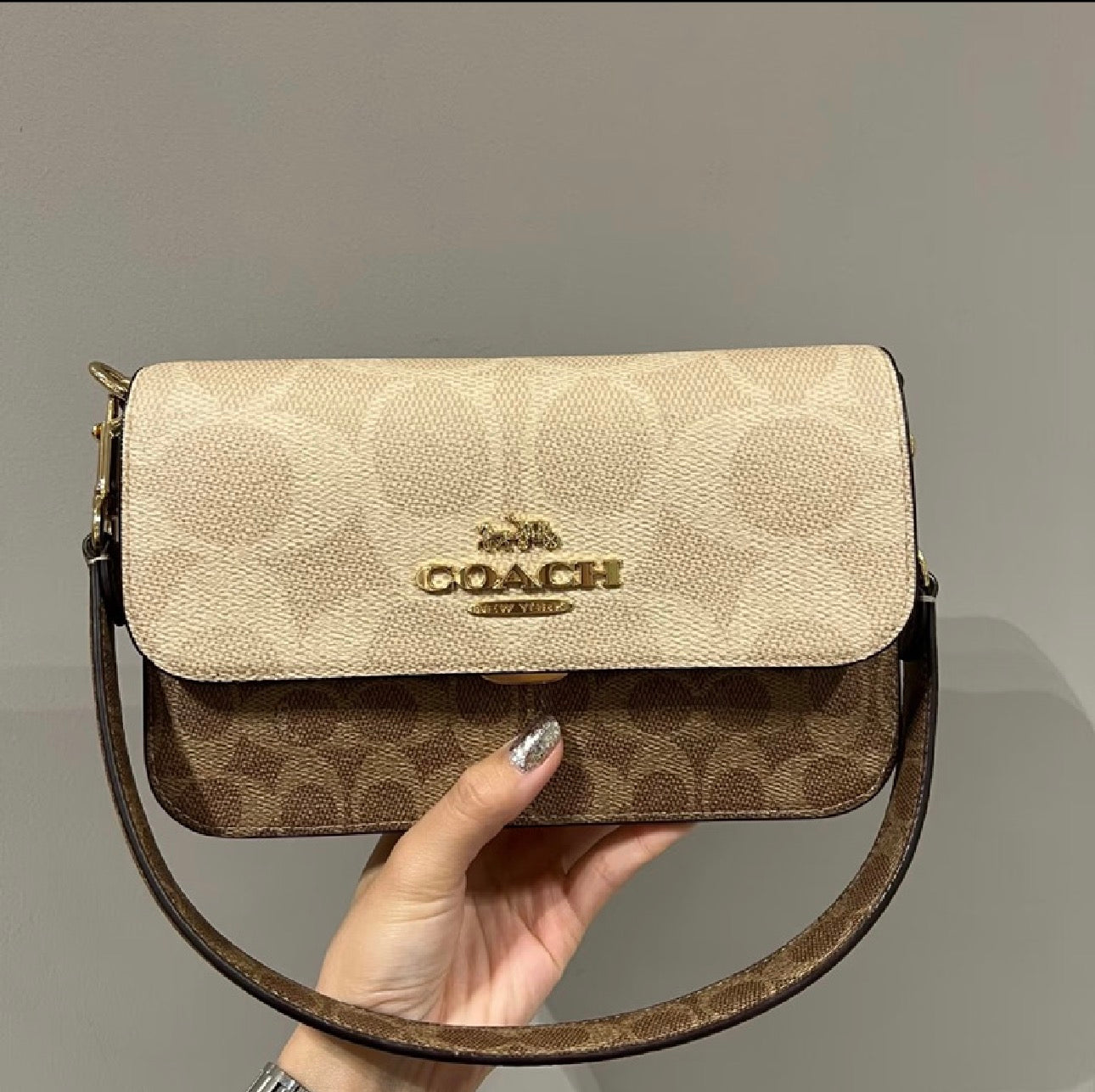 Petit Sac COACH Élégance